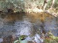 DSCN4216