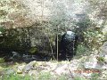 DSCN4217