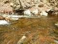 DSCN4220