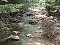 DSC00850