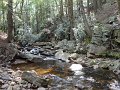 DSC00866