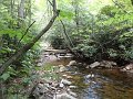 DSC00877