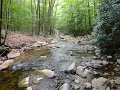 DSC00878