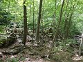 DSC00885