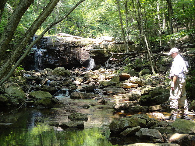 DSC00975.jpg -                                 Hickory Run Senic 3      