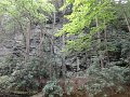 DSC00992