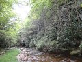 DSC00993