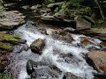 DSC00994