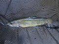 DSC01002