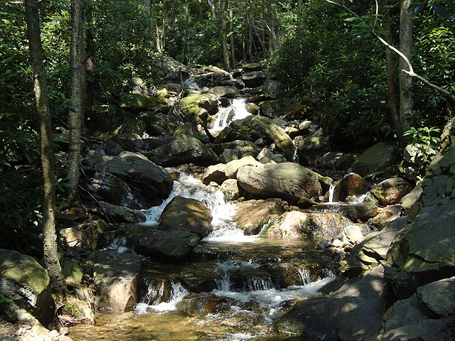 DSC00253.jpg - Glen Onoko Falls Trali 2