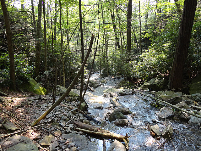 DSC00254.jpg - Glen Onoko Falls Trail 3