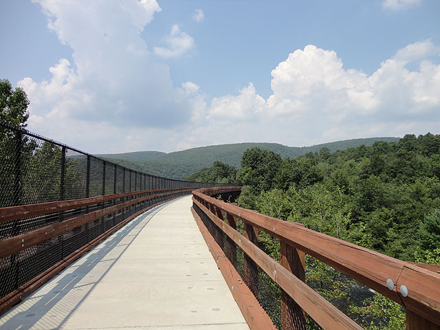 DSC00260.jpg - Walking bridge over the Lehigh