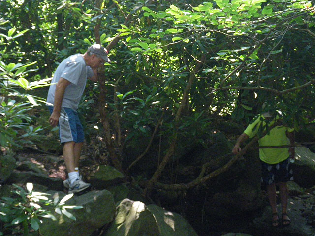IMGP0231.jpg - Glen Onoko Falls Trail 5