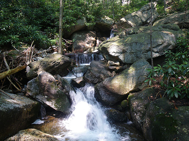 IMGP0233.jpg - Glen Onoko Falls Trail 7
