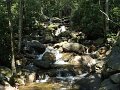 DSC00253