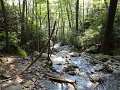 DSC00254