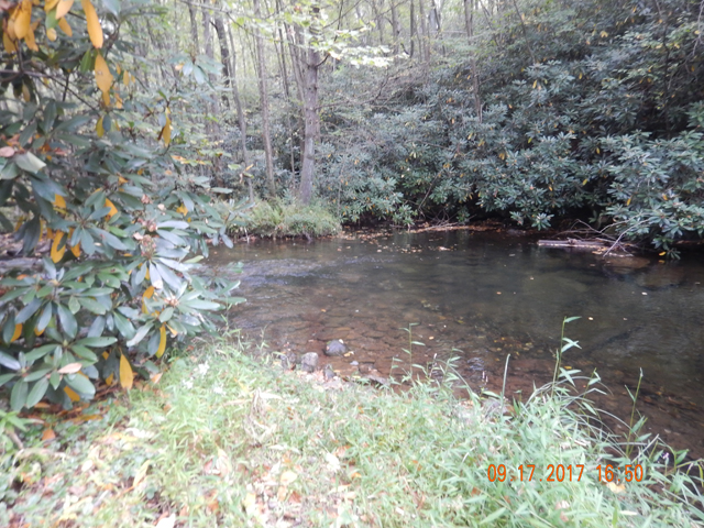 DSCN2599.jpg -                                But there were deep pools and they didn't hit there either.  Tried both nymphs and drys...no luck.  