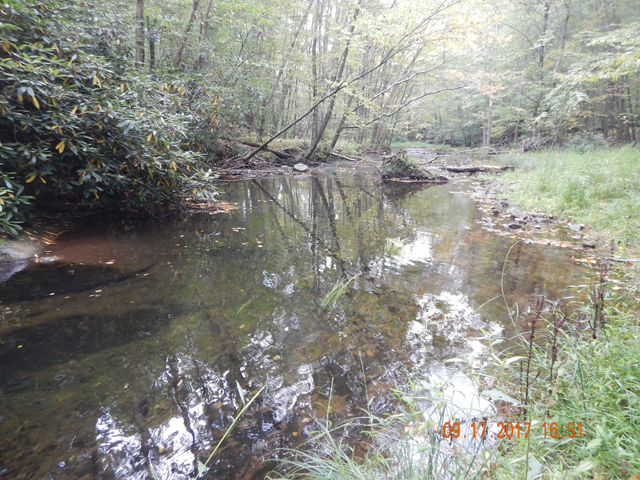 DSCN2601.jpg -                                Deep hole....not a rise.