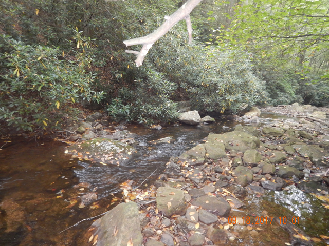 DSCN2604.jpg -                                Every little run seemed to hold fish.
