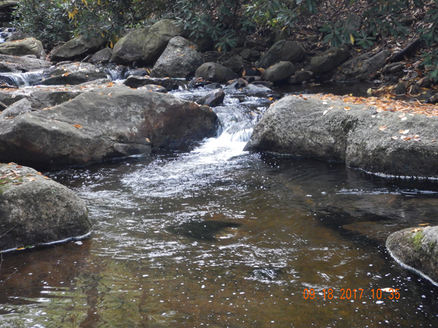 DSCN2608.jpg -                                Oh, that last fish...he came out of this run.