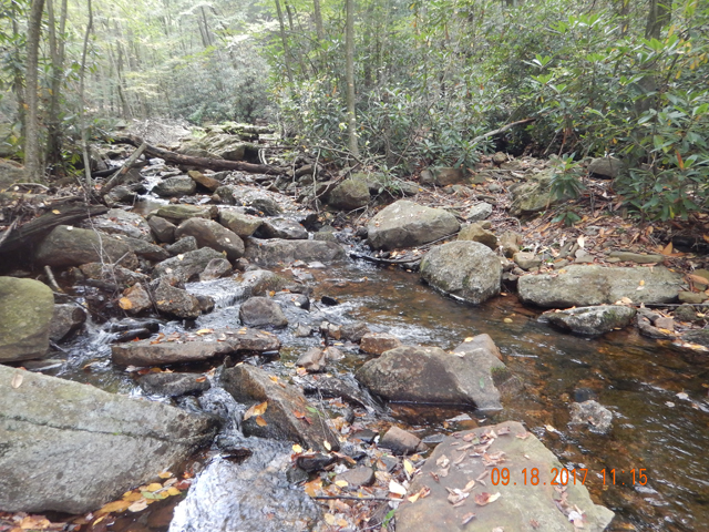 DSCN2615.jpg -                                Here's the run those two were living in.