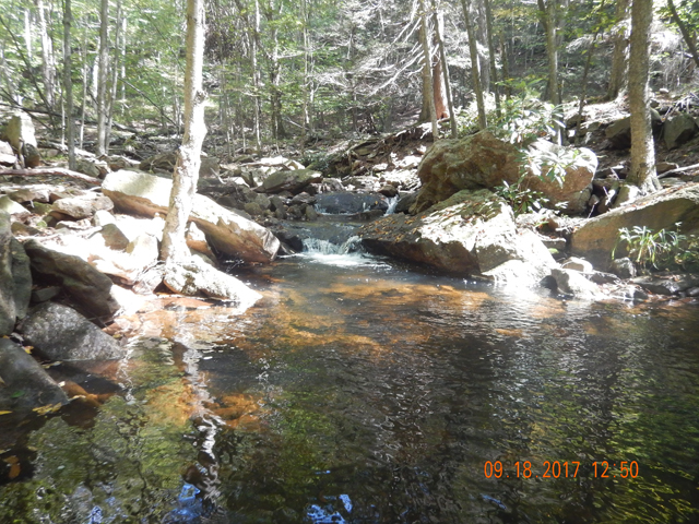 DSCN2622.jpg -                                Its easy to understand when you see the hole they were caught from.  This location undoubtedly held more trout but they stopped hitting when I caught two.