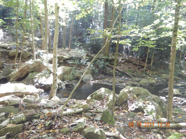 DSCN2624.jpg -                                This stream has to be my favorite, especially this time of year.