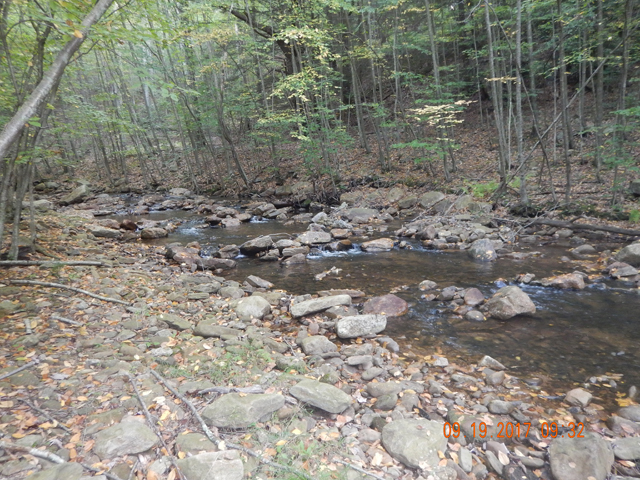 DSCN2636.jpg -                                This is a better photo of the stream and the fish locations.