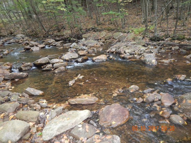 DSCN2638.jpg -                                That last fish came out of this run.