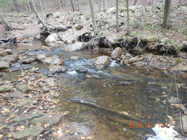 DSCN2644.jpg -                                Did I mention the water was crystal clear?  A low profile was essential, after all, these are wild trout.