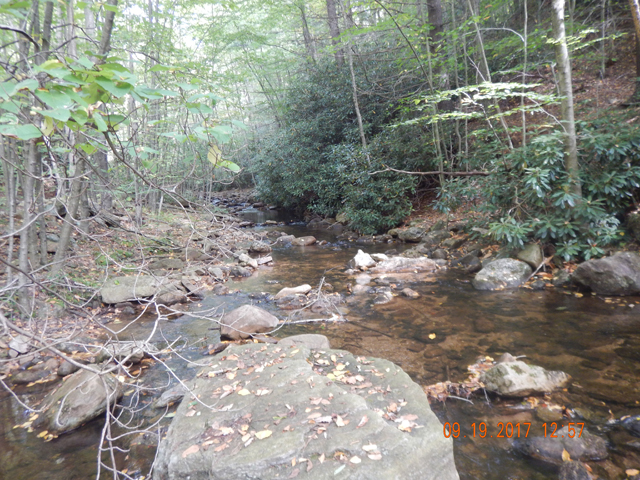 DSCN2656.jpg -                                This stream continues to offer one challenge after another.  It was more fun than one person should have to endure.