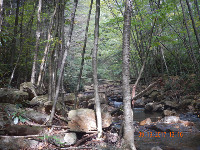 DSCN2660.jpg -                                I should have stopped here but I think I was high on the scenery and the fish.  I kept going.