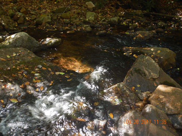 DSCN2676.jpg -                                Pockets in this section of the stream were smaller...and faster.