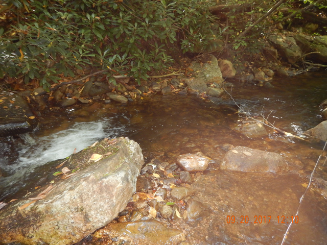 DSCN2681.jpg -                                Once again, to pass up a little run meant missing fish. 