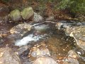 DSCN2610