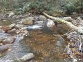 DSCN2617