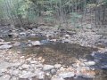 DSCN2635
