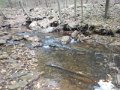 DSCN2644