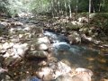 DSCN2662