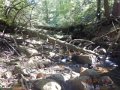 DSCN2677