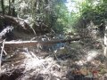 DSCN2679