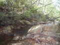 DSCN2682