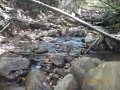 DSCN2686
