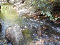 DSCN2694