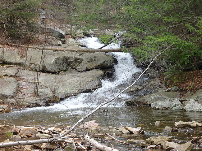 P1000674001.jpg - Sand Spring Run 1