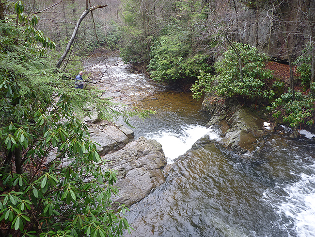 P1000713001.jpg