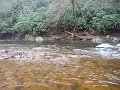 P1000716001
