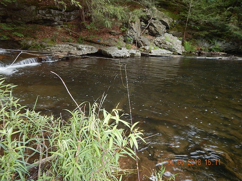 -HIckory-021-.jpg - It is a pretty stream though.  Guess it warms too much to hold too many wild fish.