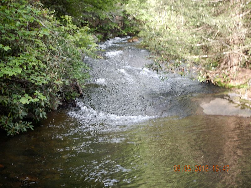 -HIckory-046-.jpg - Little blurry but I got a fish to rise to a dry on a long cast.  Too much slack in the line and I failed to hook up.  He, like the rest of the fish we caught, is still there.