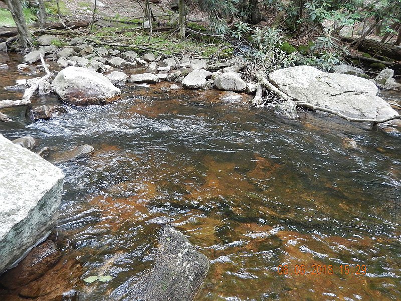 -HIckory-064-.jpg - One spot is just prettier than the last.